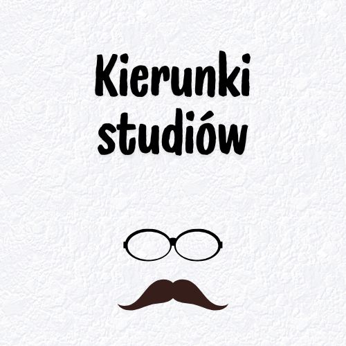 kierunki studiów